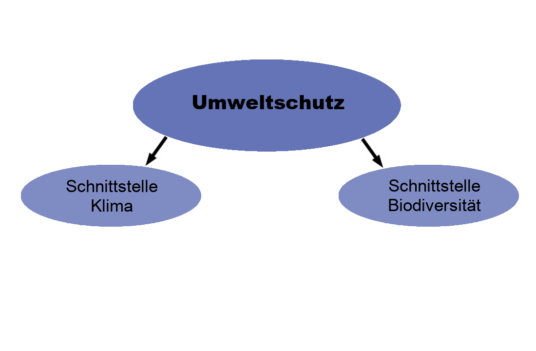 Grafik, in das Themenfeld "Umweltschutz und Ressourcennutzung" aufschlüsselt. Übergeordnet ein blaues Oval in dem Umweltschutz steht. Davon gehen zwei Pfeile nach unten zu zwei Ovalen in denen steht "Schnittstelle Klima" und "Schnittstelle Biodiversität".